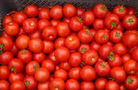 tomato images